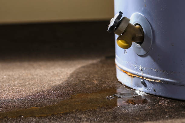 Best Flood damage cleanup  in Susanville, CA