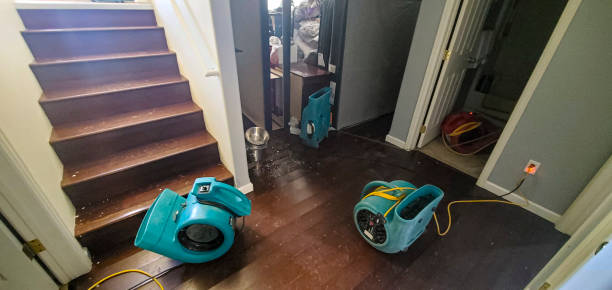 Best Flood restoration services  in Susanville, CA